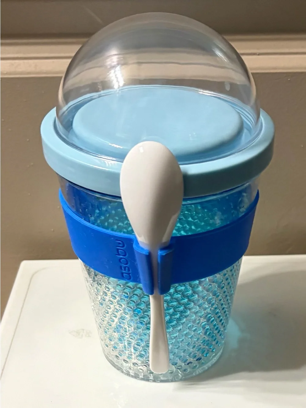 Chill Yo 2 Go + Bentgo Salad Container Set